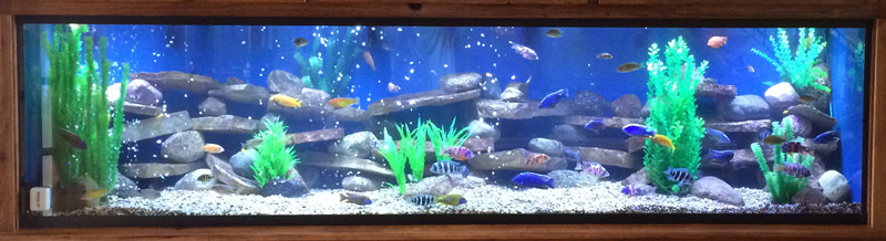 375-gallon-custom-glass-aquarium-cropped 375-gallon-custom-glass-aquarium-cropped