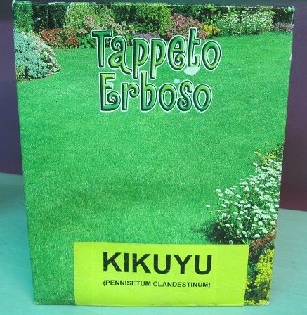 γκαζον κικουγιου γκαζον κικουγιου
